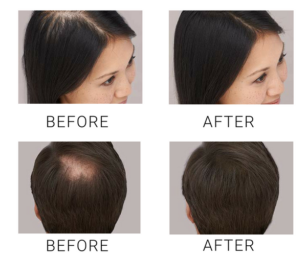 NEW TOPPIK Hair Building Fibers